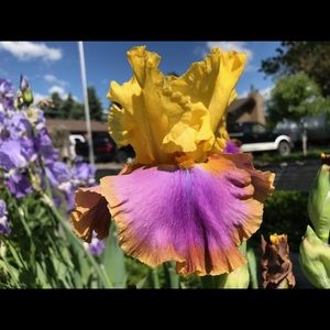 Meet your Posher, Brianne